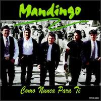 Mandingo [Latin] - Como Nunca Para Ti lyrics