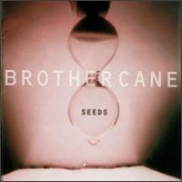 Brother Cane - Seeds lyrics