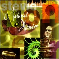 Stevie Wonder - Natural Wonder [live] lyrics