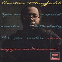 Curtis Mayfield - Never Say You Can't Survive lyrics
