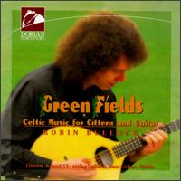 Robin Bullock - Green Fields: Celtic Music For Cittern & Guitar lyrics
