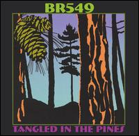 BR5-49 - Tangled in the Pines lyrics