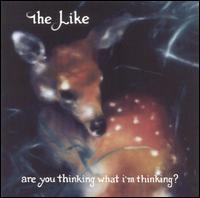 The Like - Are You Thinking What I'm Thinking? lyrics
