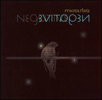 Microesfera - Negative lyrics