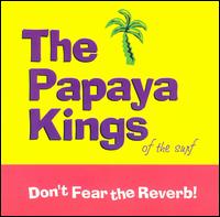 The Papaya Kings - Don't Fear the Reverb lyrics