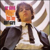 Mr. David Viner - This Boy Don't Care lyrics