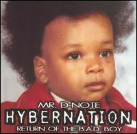 Mr. D-Note - Hybernation lyrics
