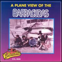 The Barracudas - A Plane View of the Barracudas lyrics
