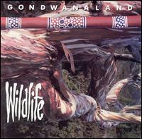 Gondwanaland - Wildlife [live] lyrics