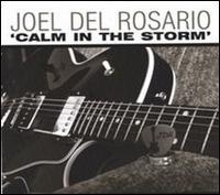 Joel Del Rosario - Calm in the Storm lyrics