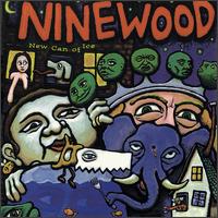 Nine Wood - New Can of Ice lyrics
