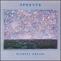 Spooner - Wildest Dreams lyrics