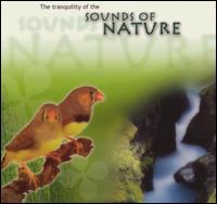 Corciolli - Sounds of Nature lyrics