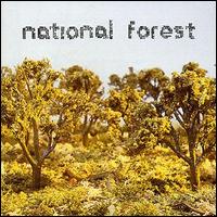 National Forest - National Forest lyrics