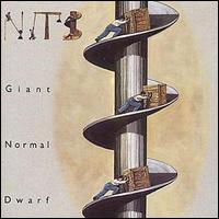 Nits - Giant Normal Dwarf lyrics