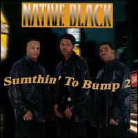 Native Black - Sumthin' to Bump 2 lyrics