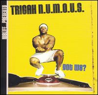 Trigah Numous - Got W8 lyrics