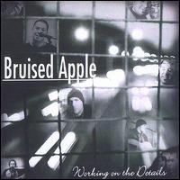 Bruised Apple - Working on the Details lyrics