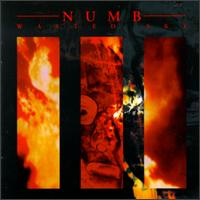 Numb - Wasted Sky lyrics