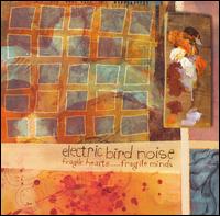 Electric Bird Noise - Fragile Hearts..... Fragile Minds lyrics
