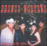 Bronco Norteno - Palabras de un Tonto lyrics