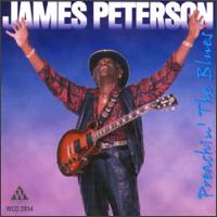 James Peterson - Preachin' the Blues lyrics