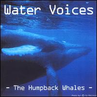 Roar Skau Olsen - Water Voices -The Humpback Whales lyrics