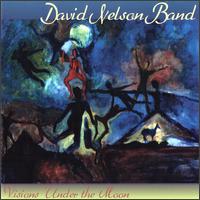David Nelson - Visions Under the Moon lyrics