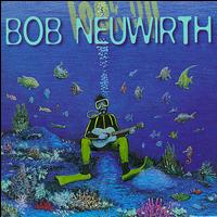 Bob Neuwirth - Look Up lyrics