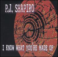P. J. Shapiro - I Know What You're Made Of lyrics