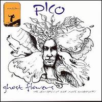 Pico - Ghost Flowers lyrics