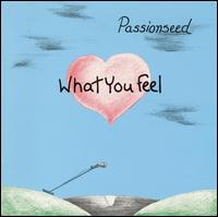 Passionseed - What You Feel lyrics