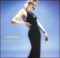 Pelvis - Who Are You Today lyrics