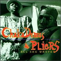 Chaka Demus & Pliers - All She Wrote lyrics
