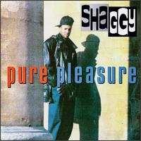 Shaggy - Pure Pleasure lyrics