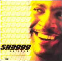 Shaggy - Hot Shot lyrics