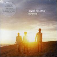 Junior Delgado - Reasons lyrics