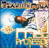 Mad Professor - Trix in the Mix lyrics