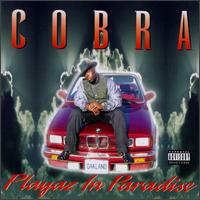 Cobra - Playaz in Paradise lyrics