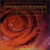 Controlled Bleeding - Gilded Shadows lyrics