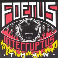 Foetus - Thaw lyrics