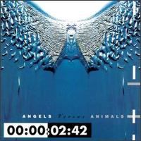 Front 242 - Angels Versus Animals lyrics