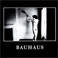 Bauhaus - In the Flat Field lyrics