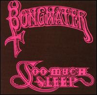 Bongwater - Too Much Sleep lyrics