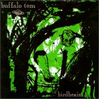 Buffalo Tom - Birdbrain lyrics