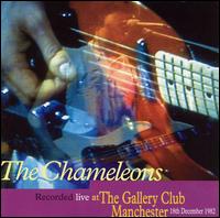 The Chameleons UK - Live at the Gallery Club, Manchester, 1982 lyrics