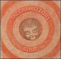 The Chameleons UK - Strip lyrics