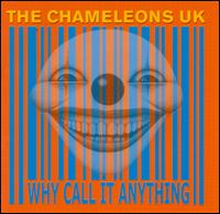 The Chameleons UK - Why Call It Anything? lyrics