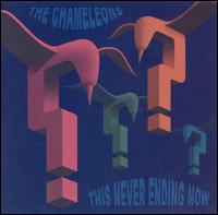 The Chameleons UK - This Never Ending Now lyrics