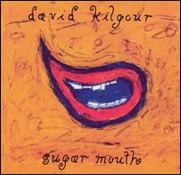 David Kilgour - Sugar Mouth lyrics